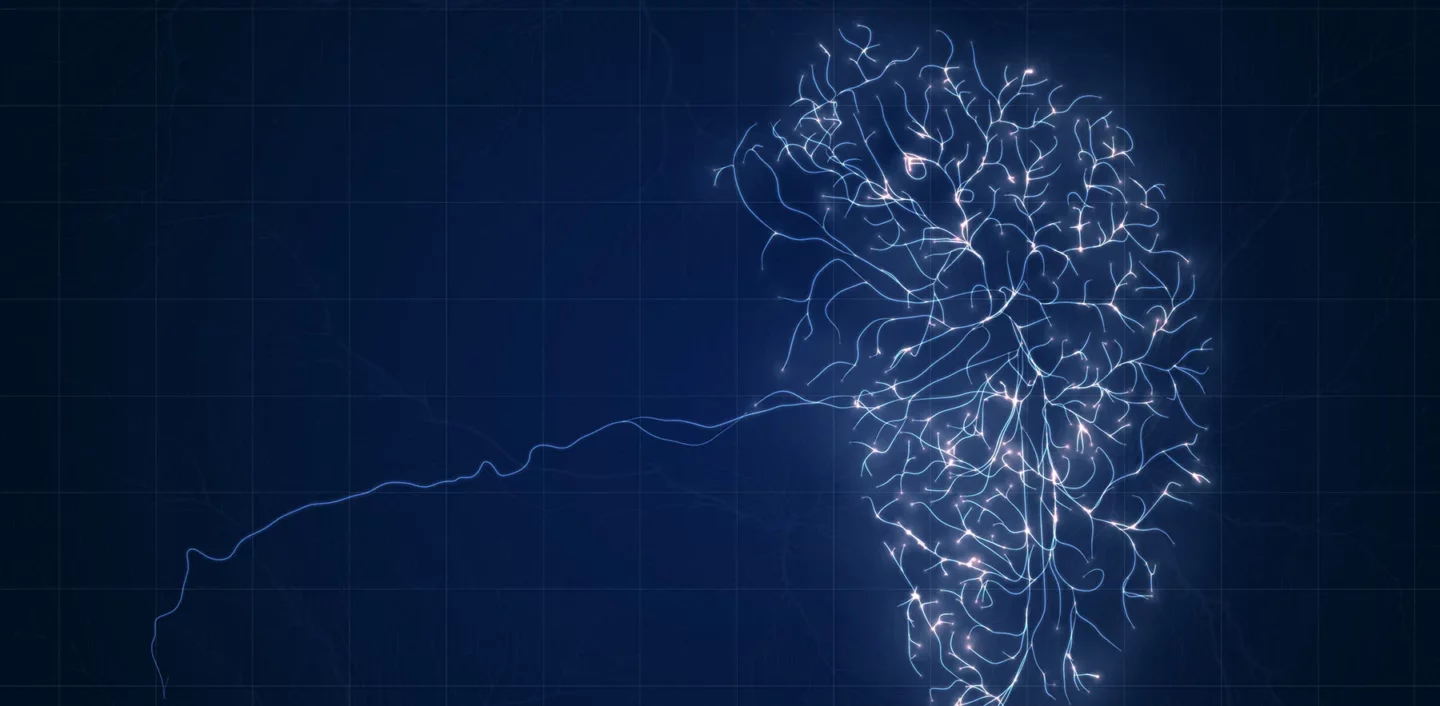 407_vector_image Kopie